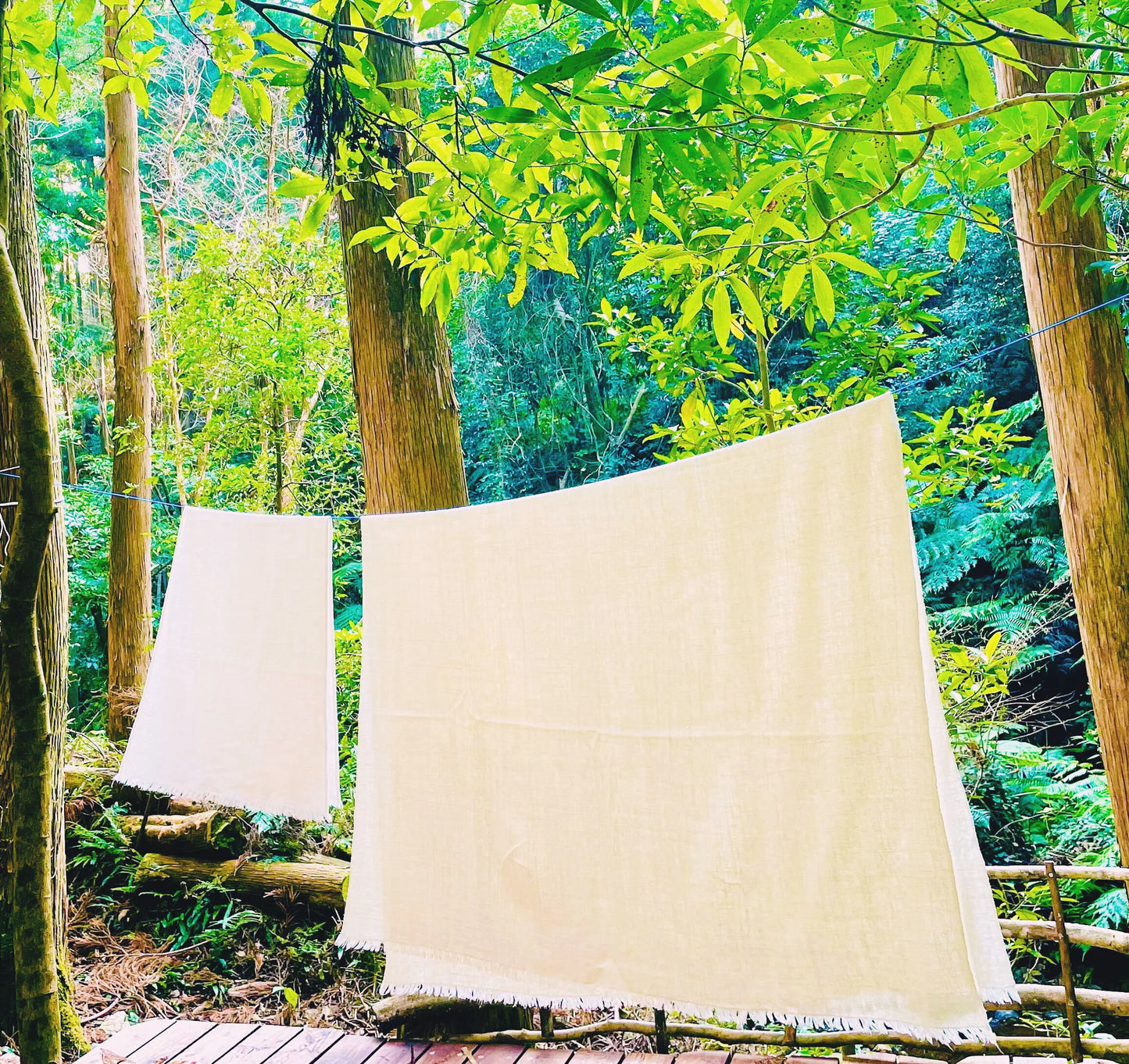 Hug cotton Lサイズ 145cm×210cm